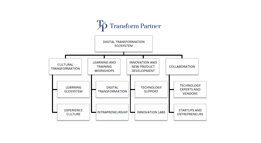Digital Transformation Ecosystem Services